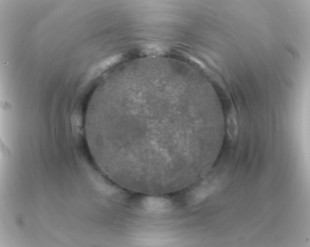 X0000091340714200708101443