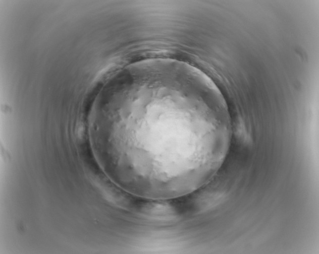 X0000091340715200708101443