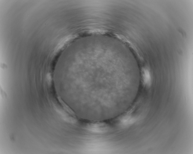 X0000091340716200708101443