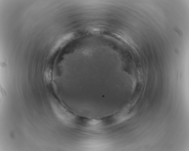 X0000091340718200708101443