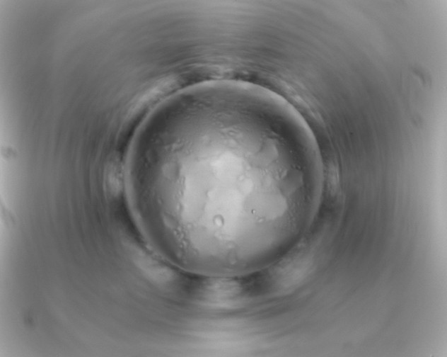 X0000091340719200708101443