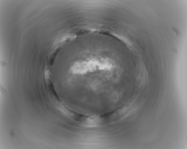 X0000091340720200708101443