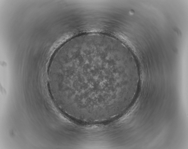 X0000091340721200708101443