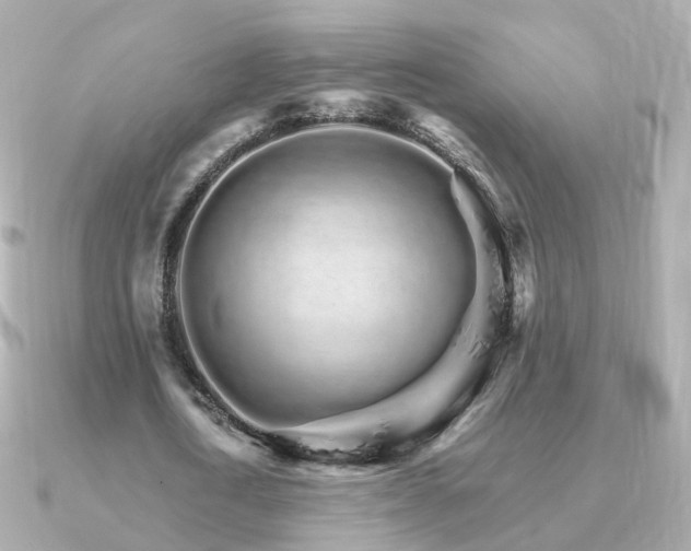 X0000091340722200708101443