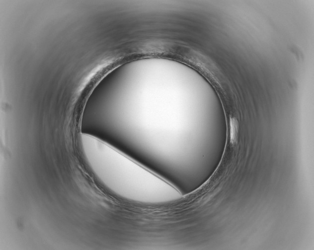 X0000091340723200708101443