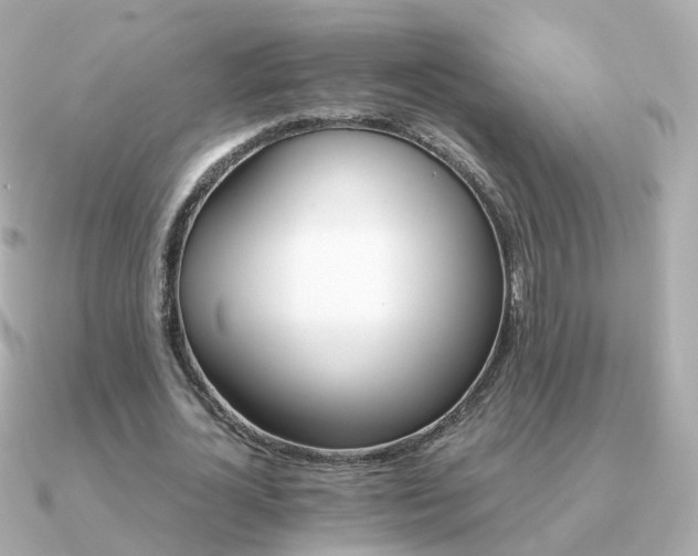 X0000091340724200708101443