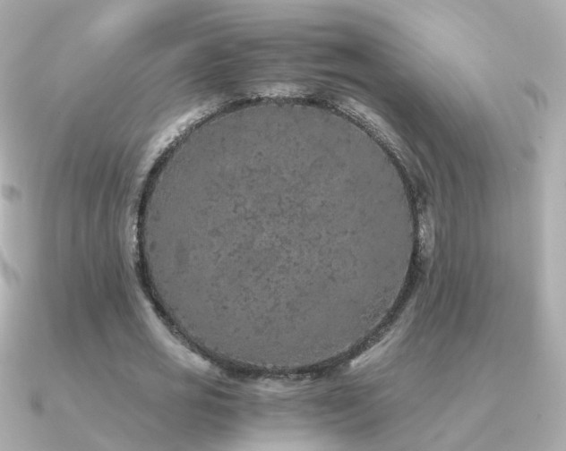 X0000091340725200708101443