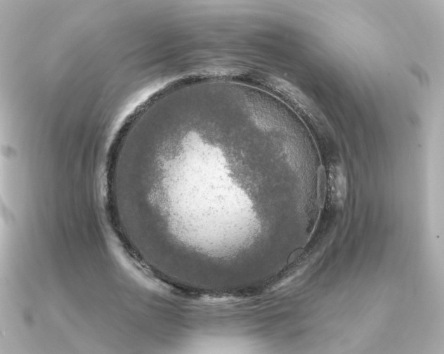 X0000091340726200708101443