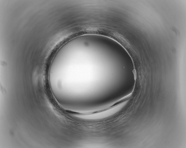 X0000091340728200708101443