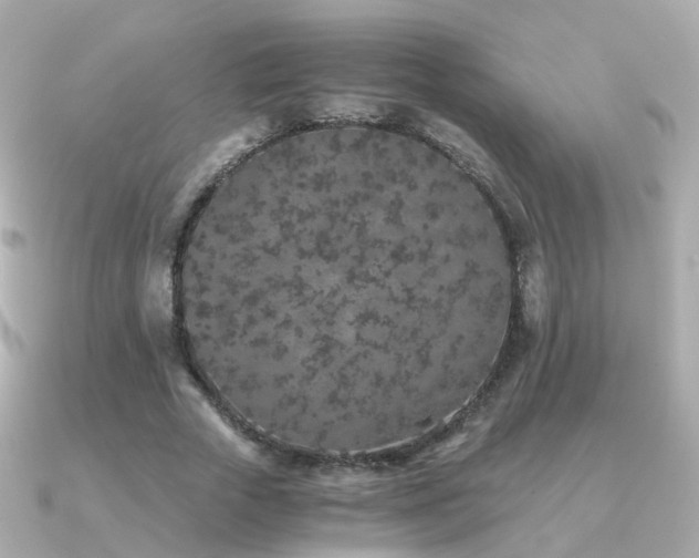 X0000091340729200708101443