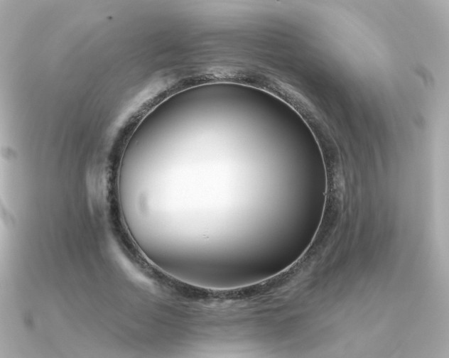 X0000091340730200708101443