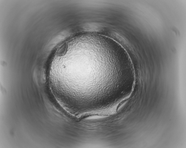X0000091340731200708101443
