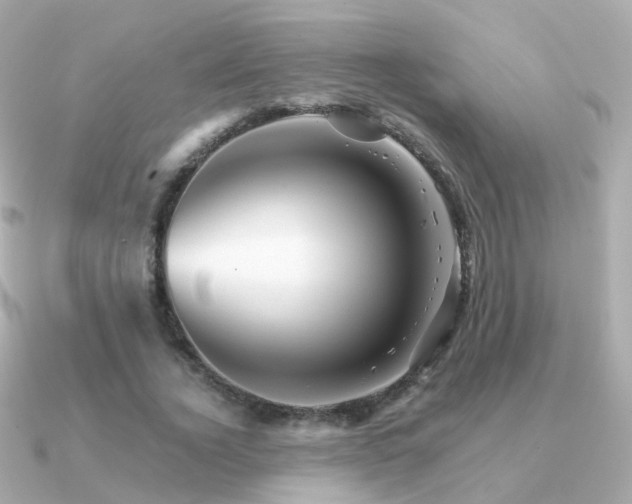 X0000091340732200708101443
