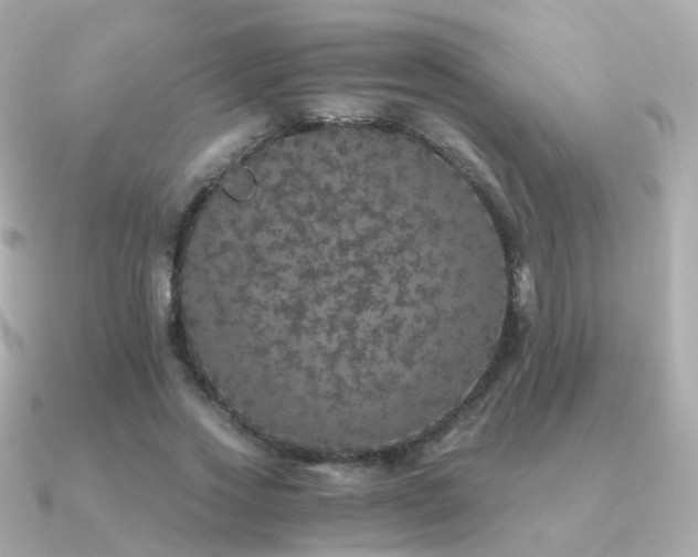 X0000091340733200708101443