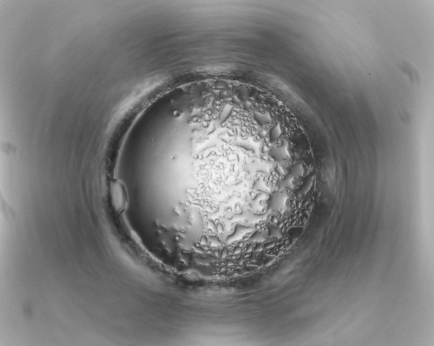 X0000091340734200708101443