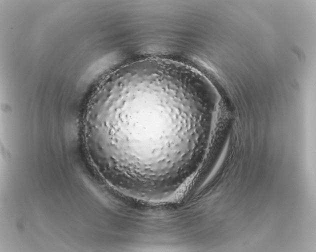 X0000091340735200708101443