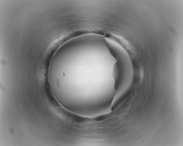 X0000091340736200708101443