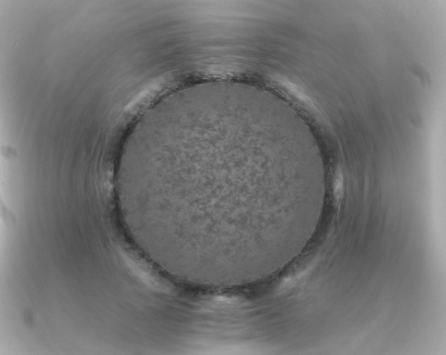 X0000091340737200708101443