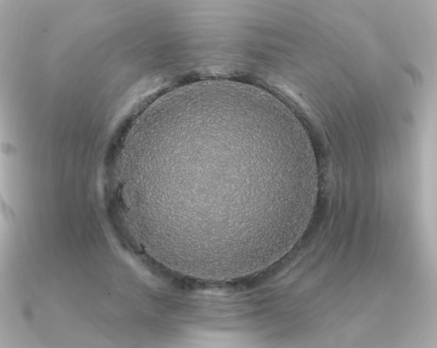 X0000091340738200708101443