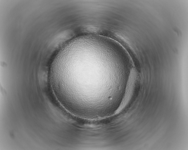 X0000091340739200708101443
