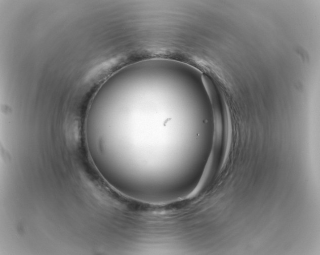 X0000091340740200708101443