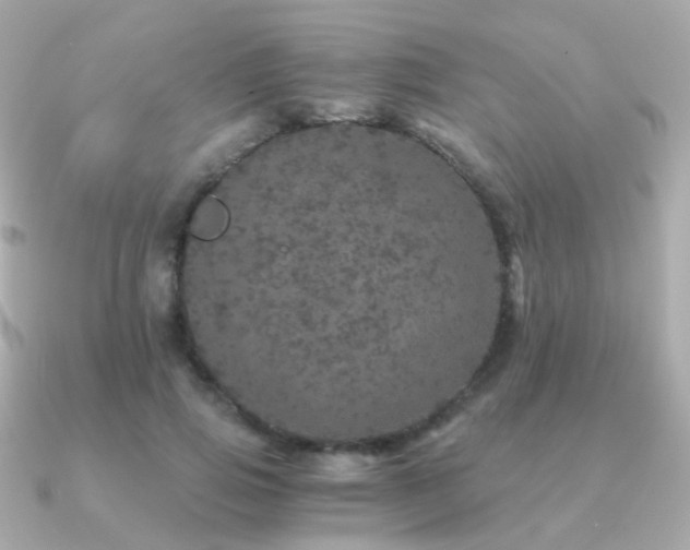 X0000091340741200708101443