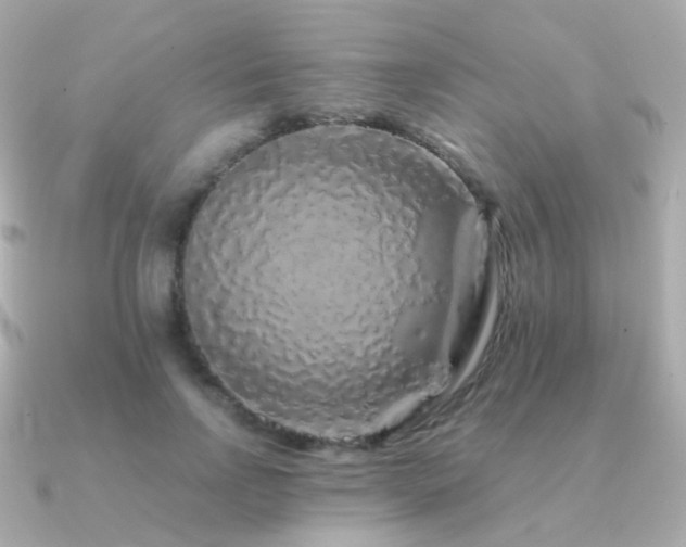 X0000091340742200708101443