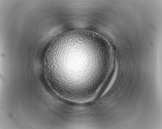 X0000091340743200708101443