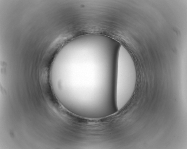 X0000091340744200708101443