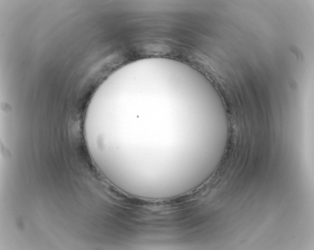 X0000091340745200708101443