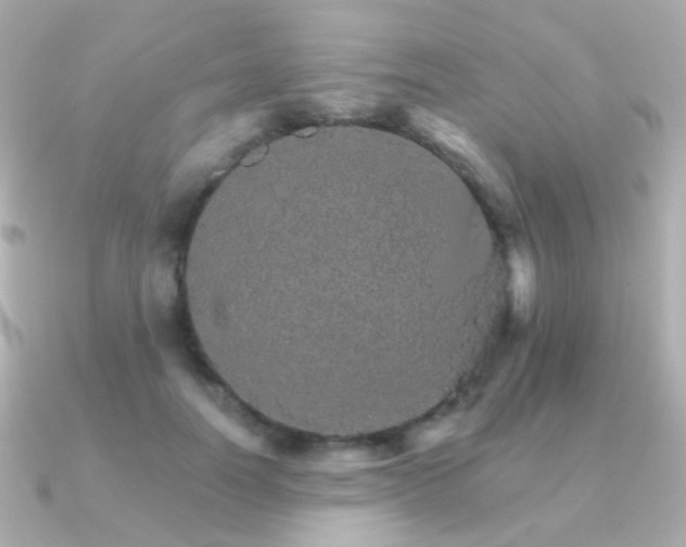 X0000091340746200708101443