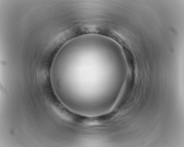 X0000091340747200708101443