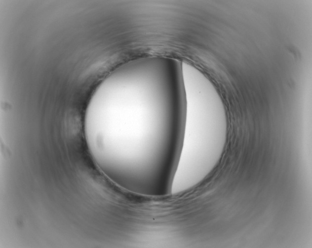 X0000091340748200708101443