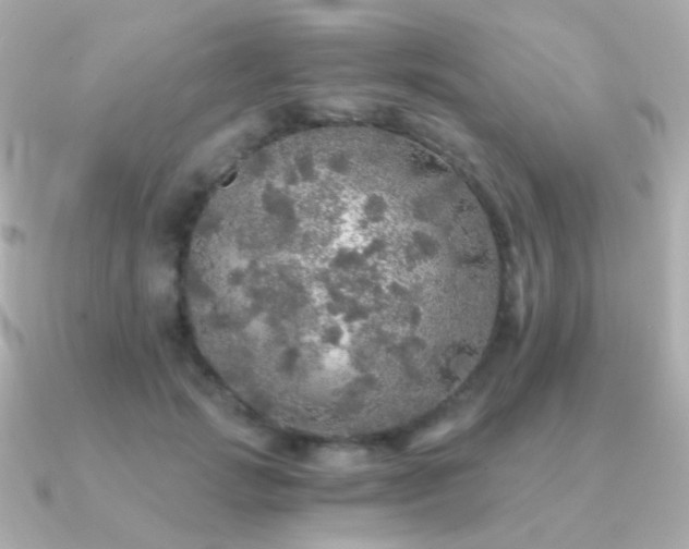 X0000091340749200708101443