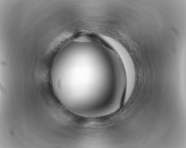 X0000091340750200708101443