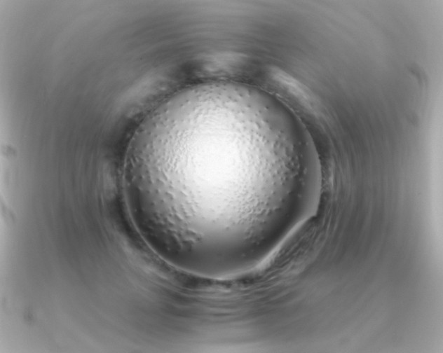 X0000091340751200708101443