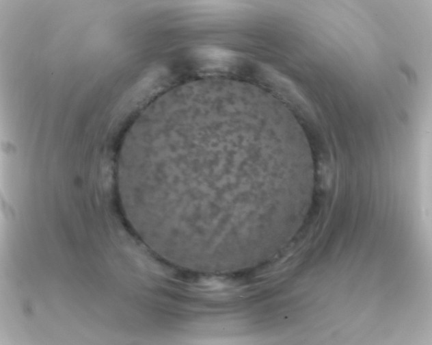 X0000091340753200708101443