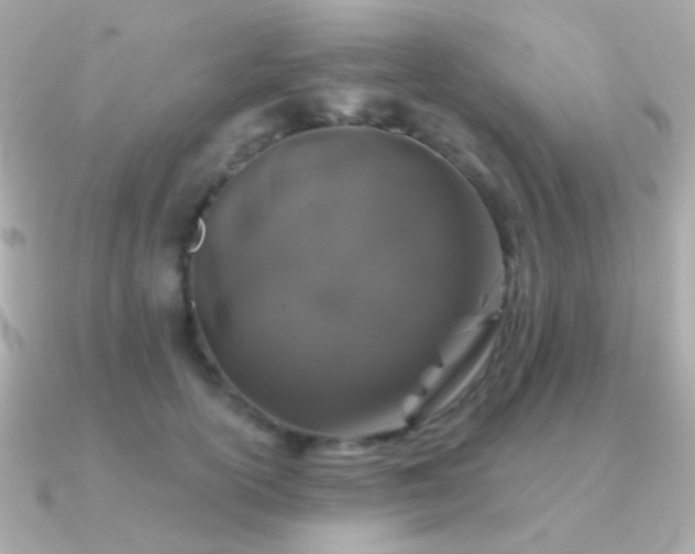 X0000091340754200708101443