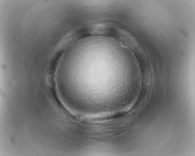 X0000091340755200708101443