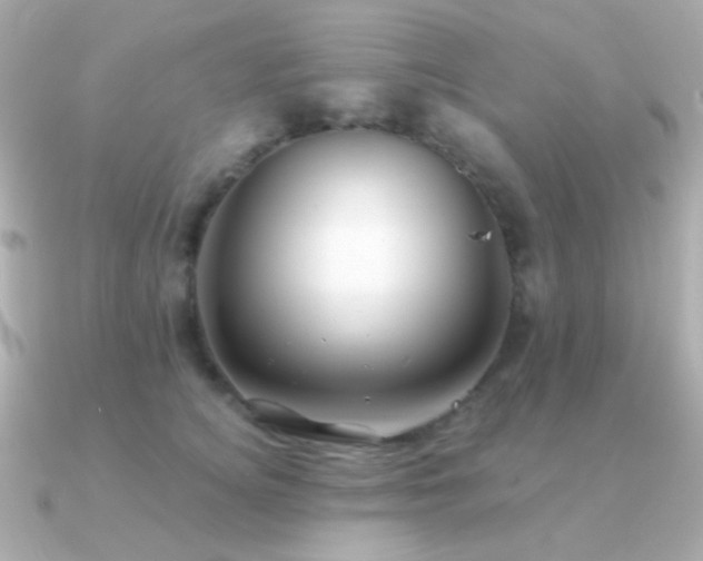 X0000091340756200708101443