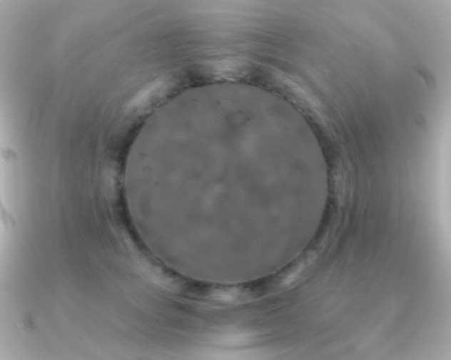 X0000091340757200708101443