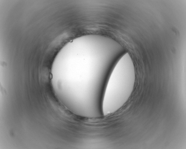 X0000091340758200708101443