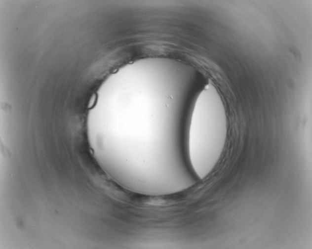 X0000091340759200708101443