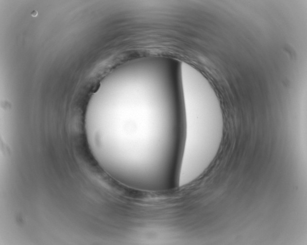 X0000091340760200708101443