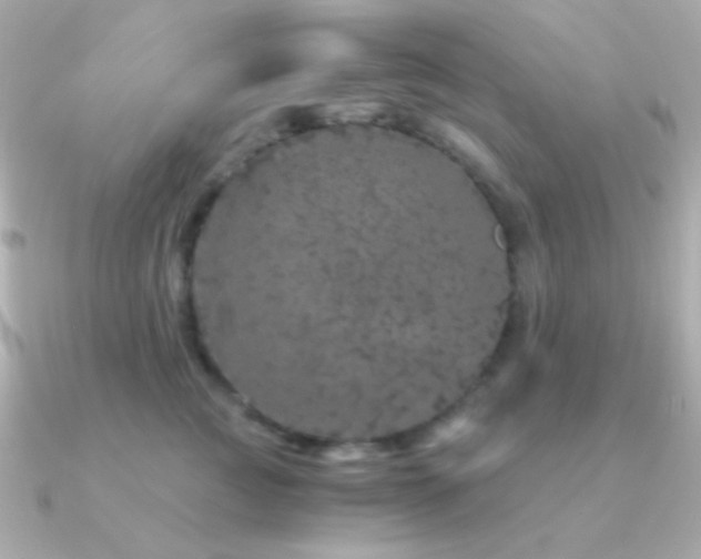 X0000091340761200708101443
