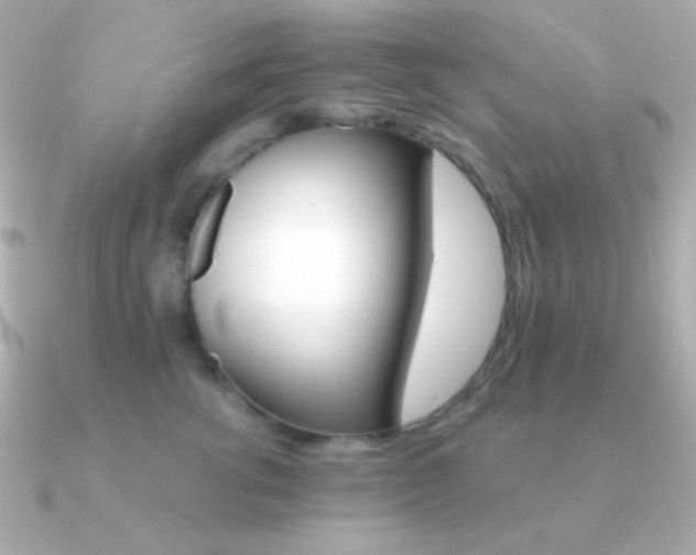 X0000091340762200708101443