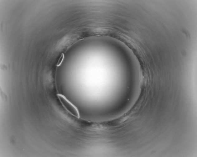 X0000091340764200708101443