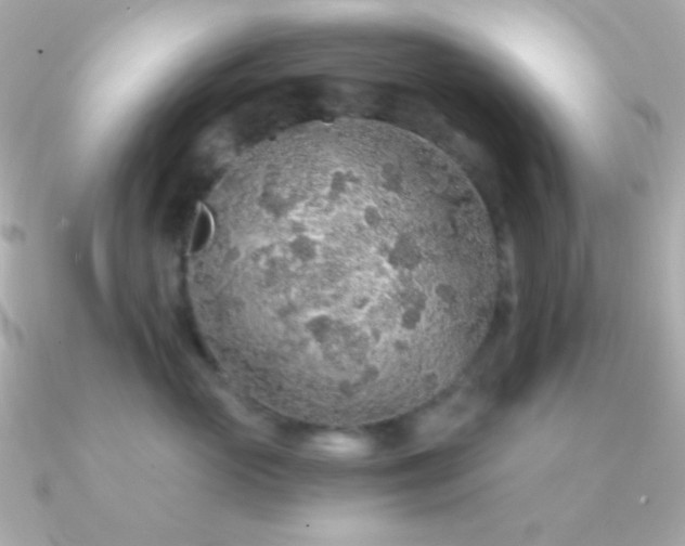 X0000091340765200708101443