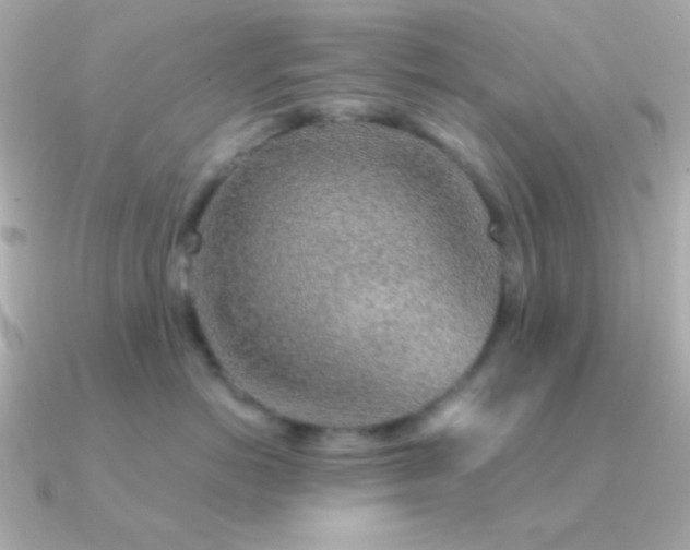 X0000091340766200708101443
