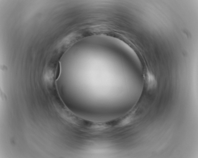X0000091340767200708101443